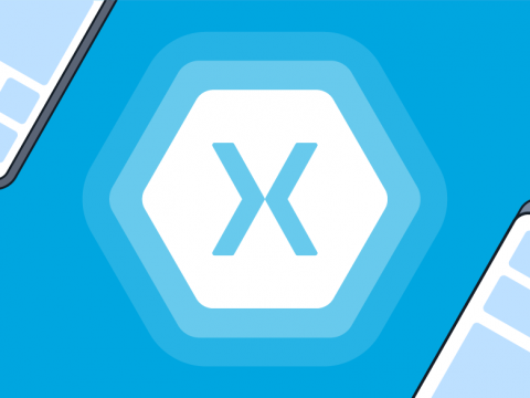 Xamarin Mobile App development